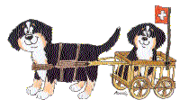 18519956.gif