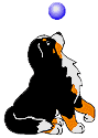 18622591.gif