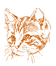 355557777777.gif