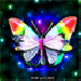 butterfly_20070824.gif